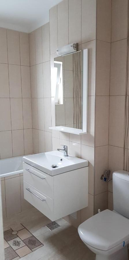 Apartment Casa Livia Slatina (Olt)
